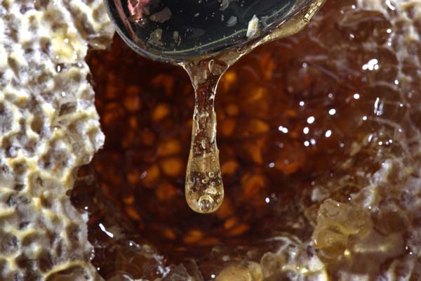 honey-drip.jpg